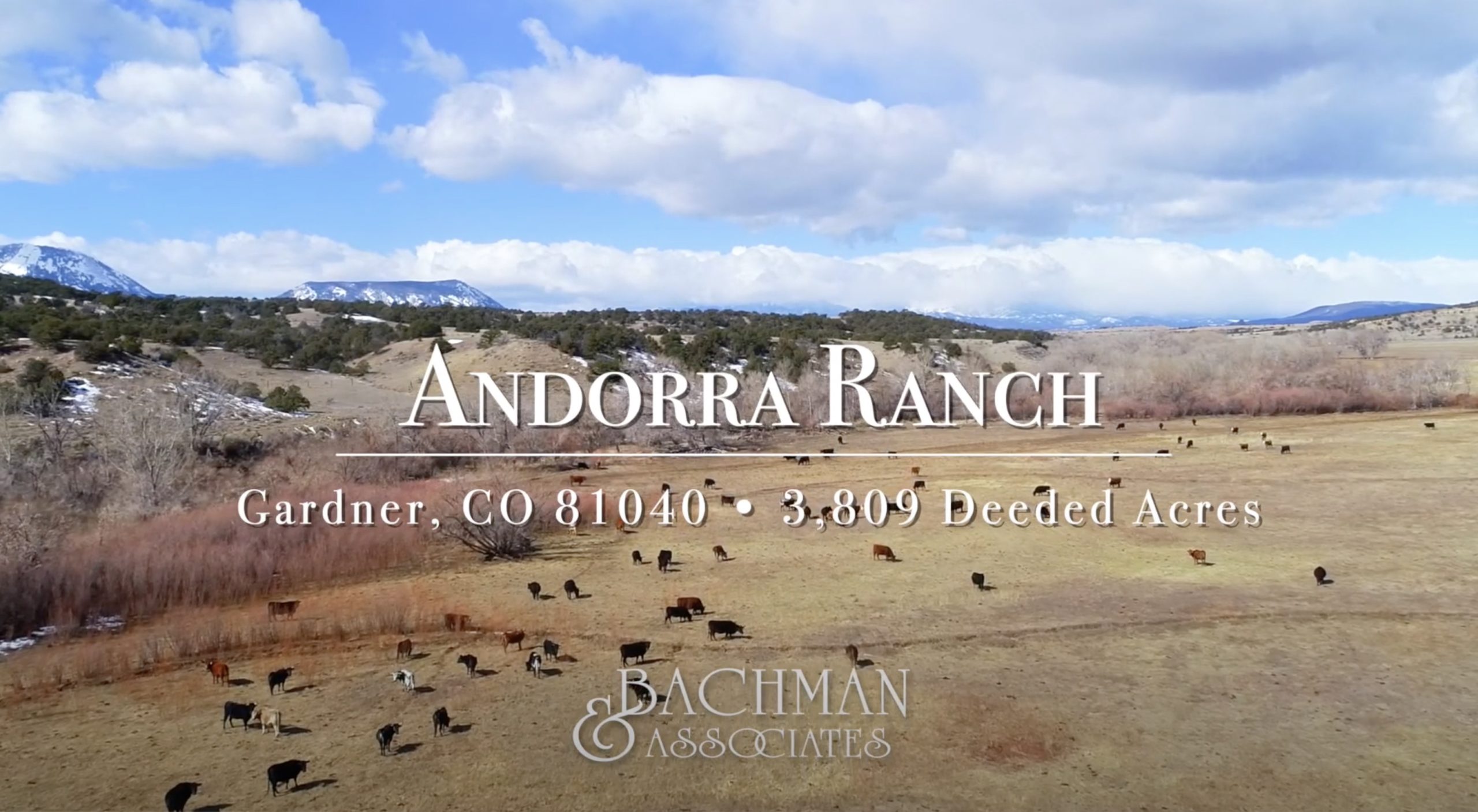 Andorra Ranch - Bachman &amp; Associates