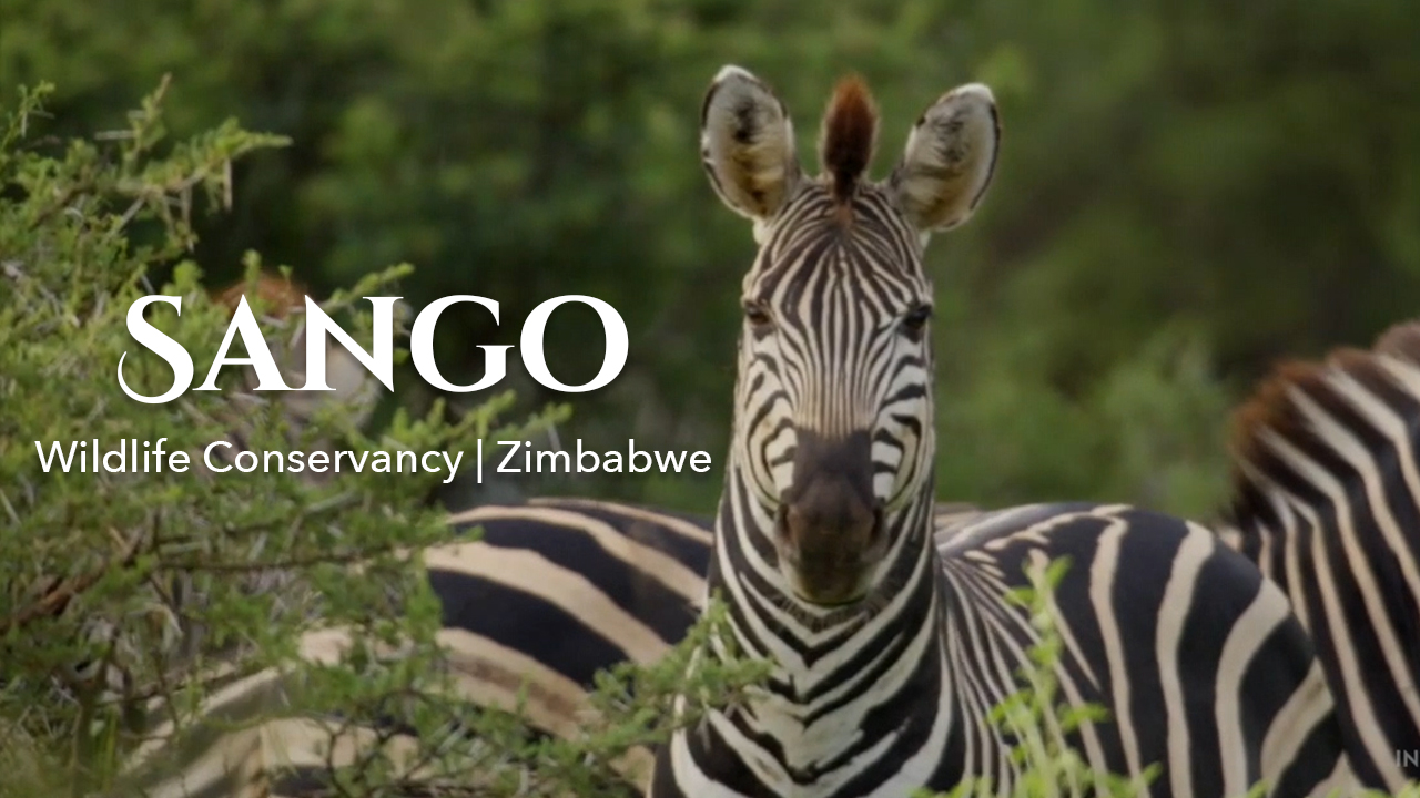 Sango Wildlife Conservancy - International Sporting Properties